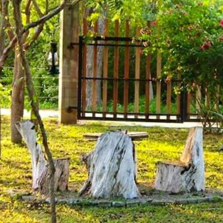 Lavish Eco Jungle Hotel Tissamaharama Kültér fotó