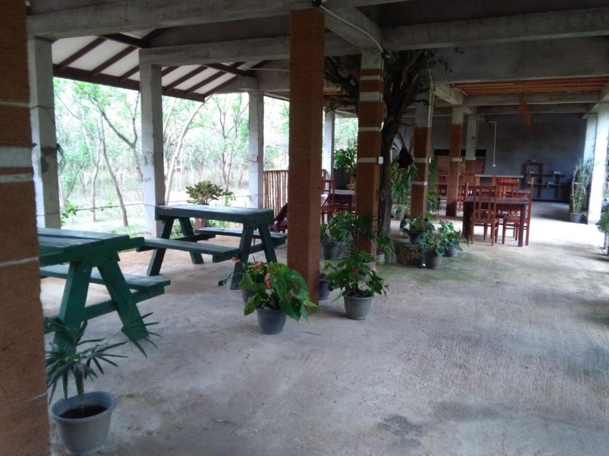 Lavish Eco Jungle Hotel Tissamaharama Kültér fotó