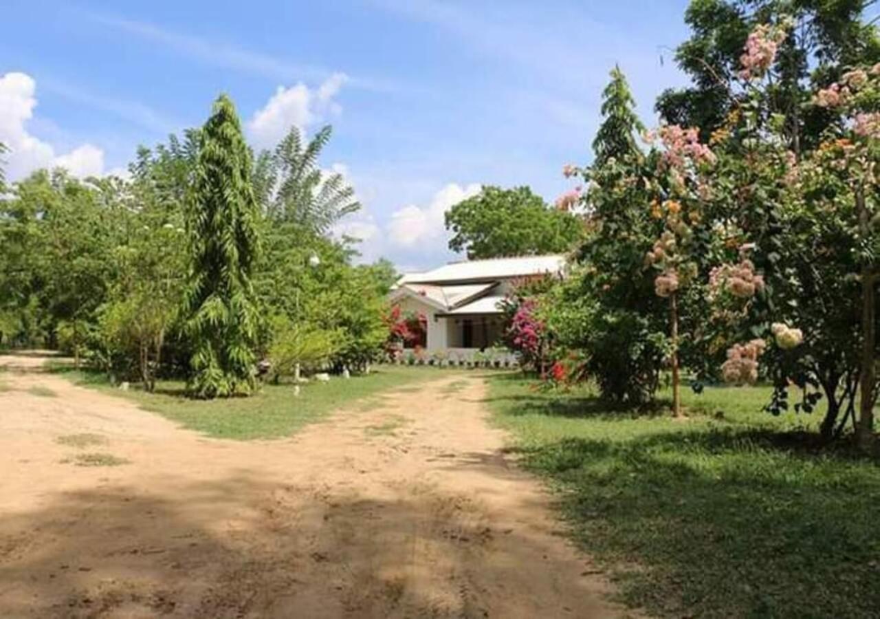Lavish Eco Jungle Hotel Tissamaharama Kültér fotó