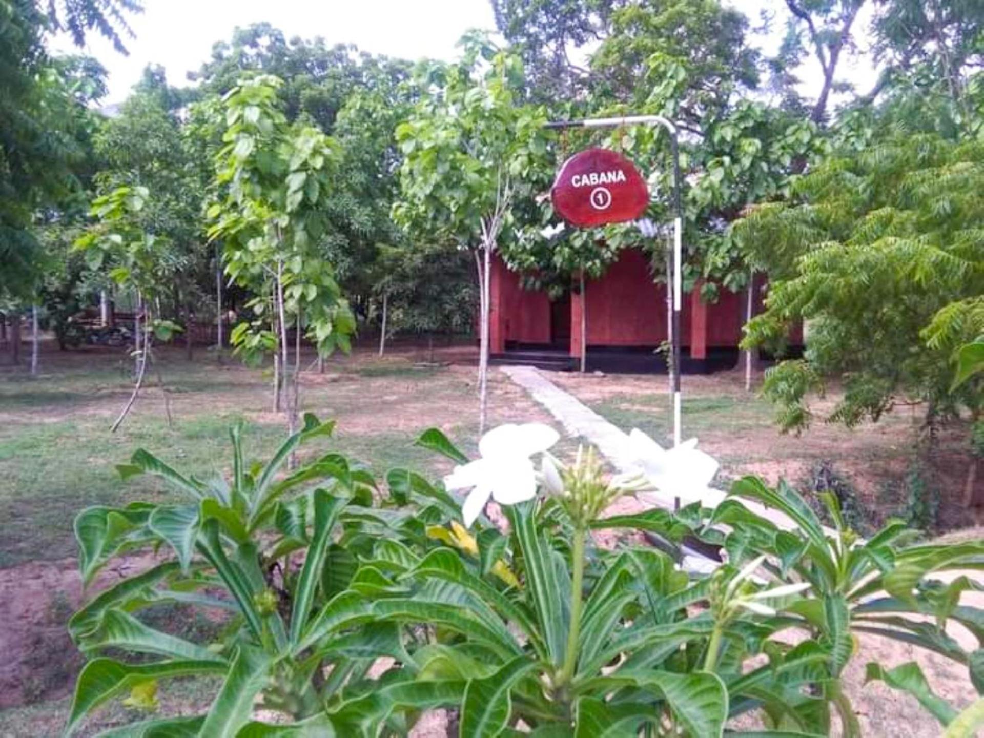 Lavish Eco Jungle Hotel Tissamaharama Kültér fotó