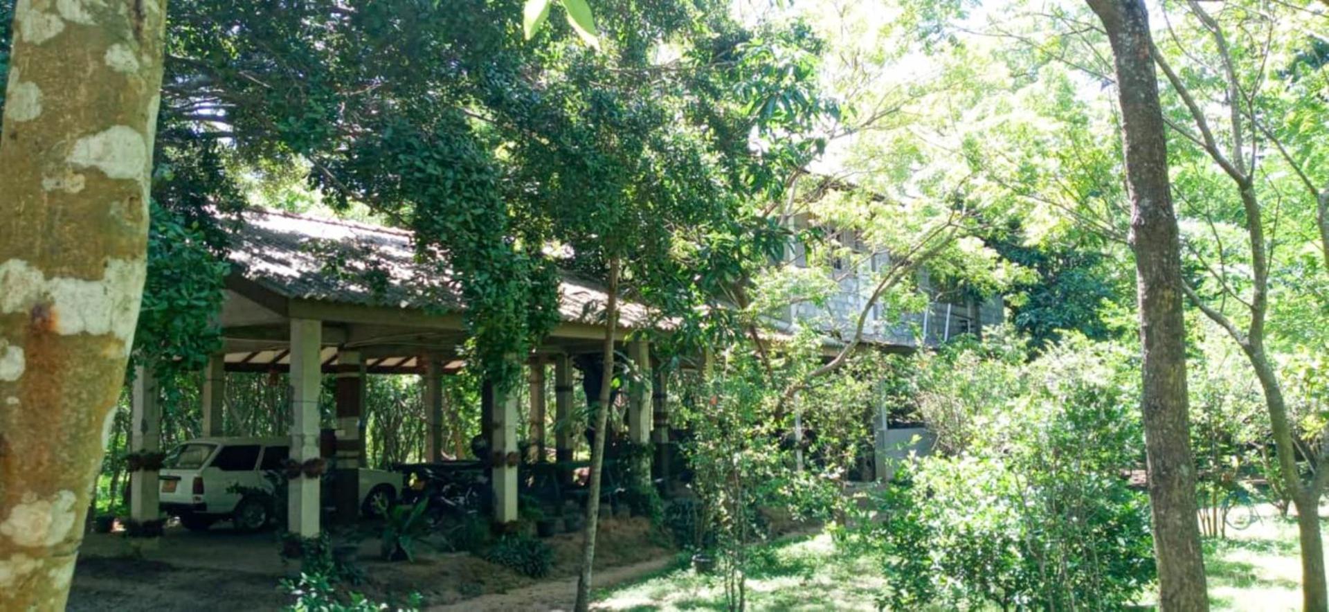 Lavish Eco Jungle Hotel Tissamaharama Kültér fotó