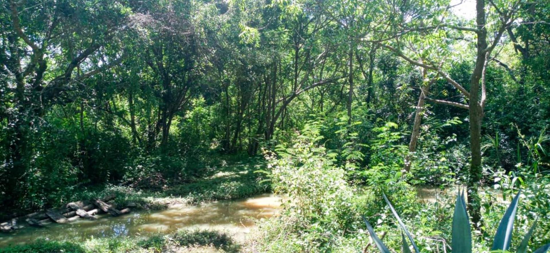 Lavish Eco Jungle Hotel Tissamaharama Kültér fotó