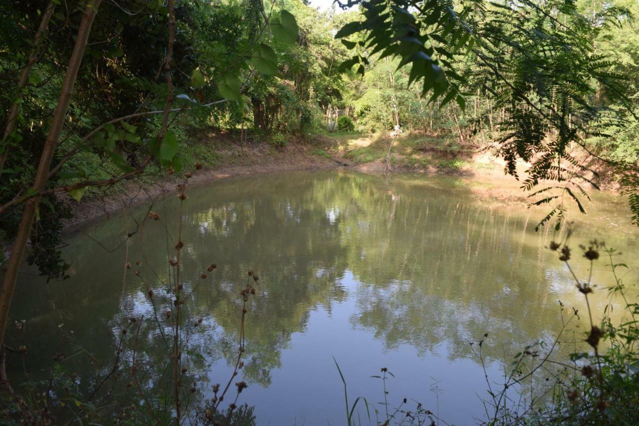 Lavish Eco Jungle Hotel Tissamaharama Kültér fotó