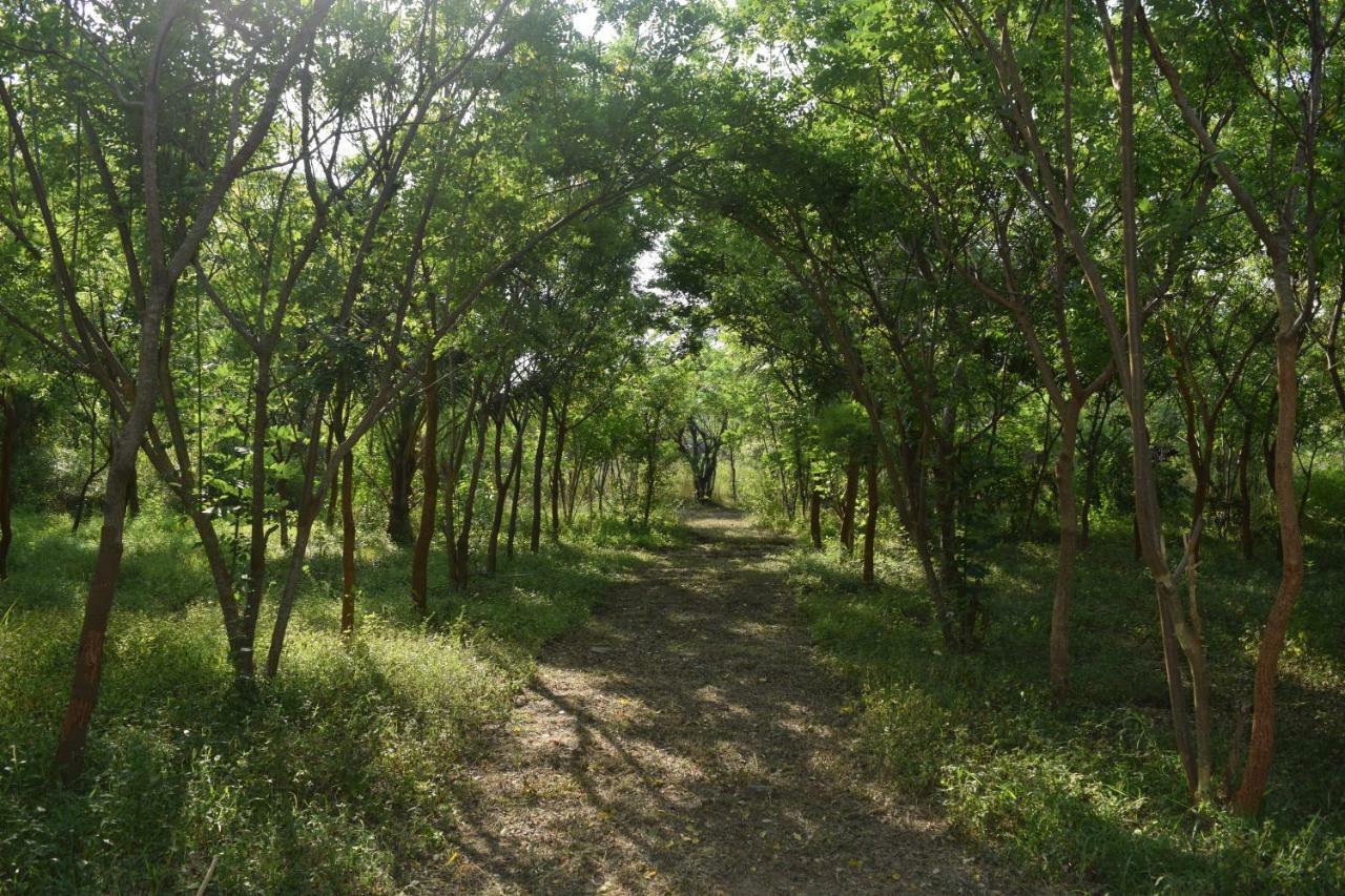 Lavish Eco Jungle Hotel Tissamaharama Kültér fotó